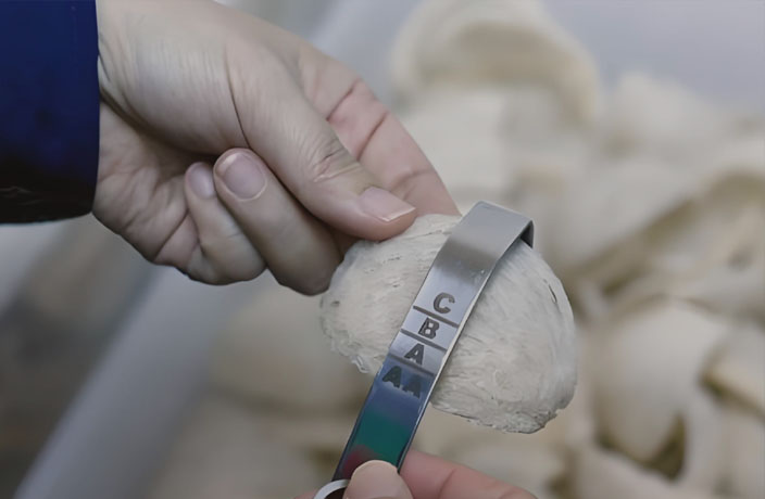 每一个出品环节都严格把控